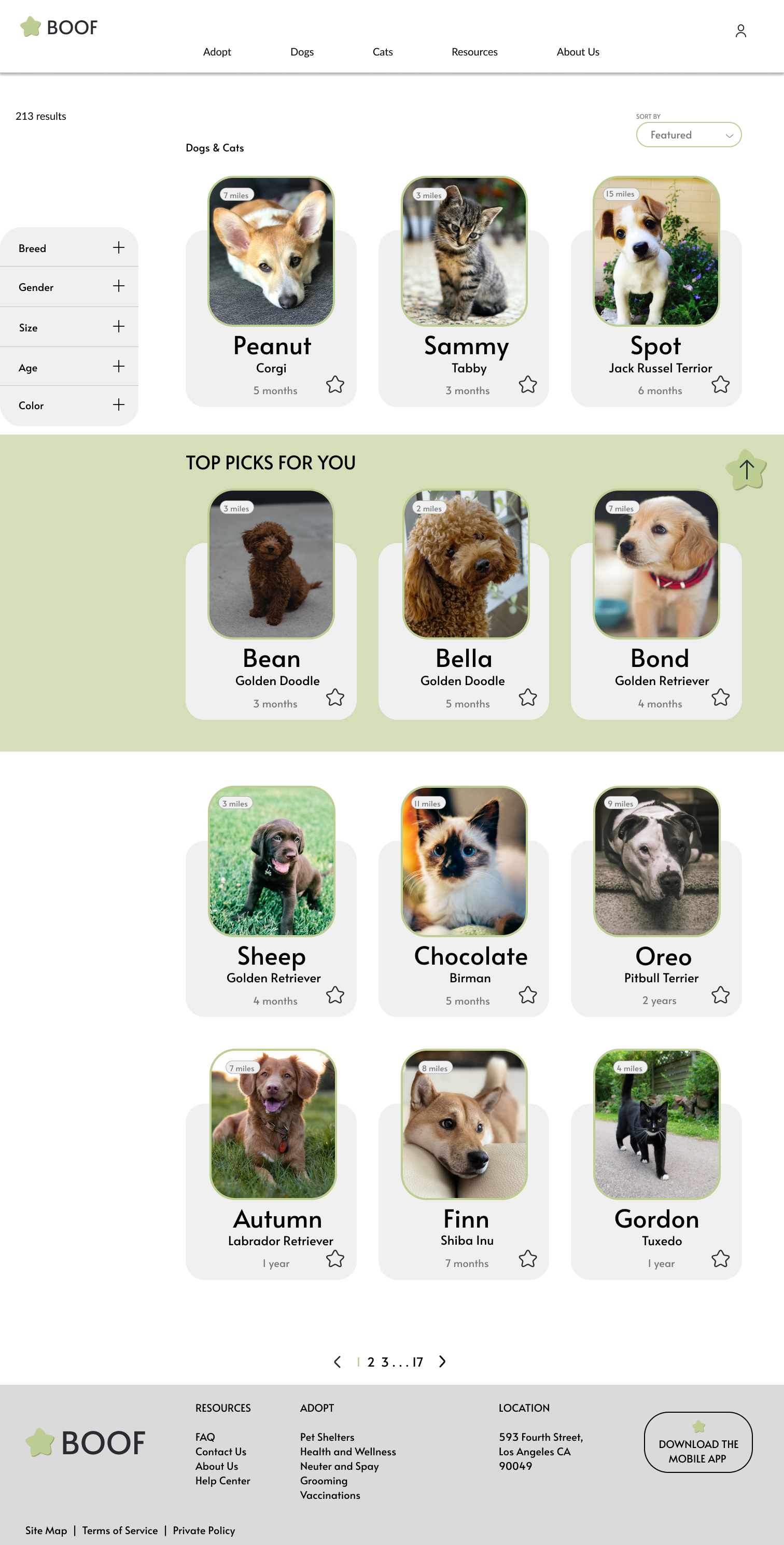 gallery page desktop mockup