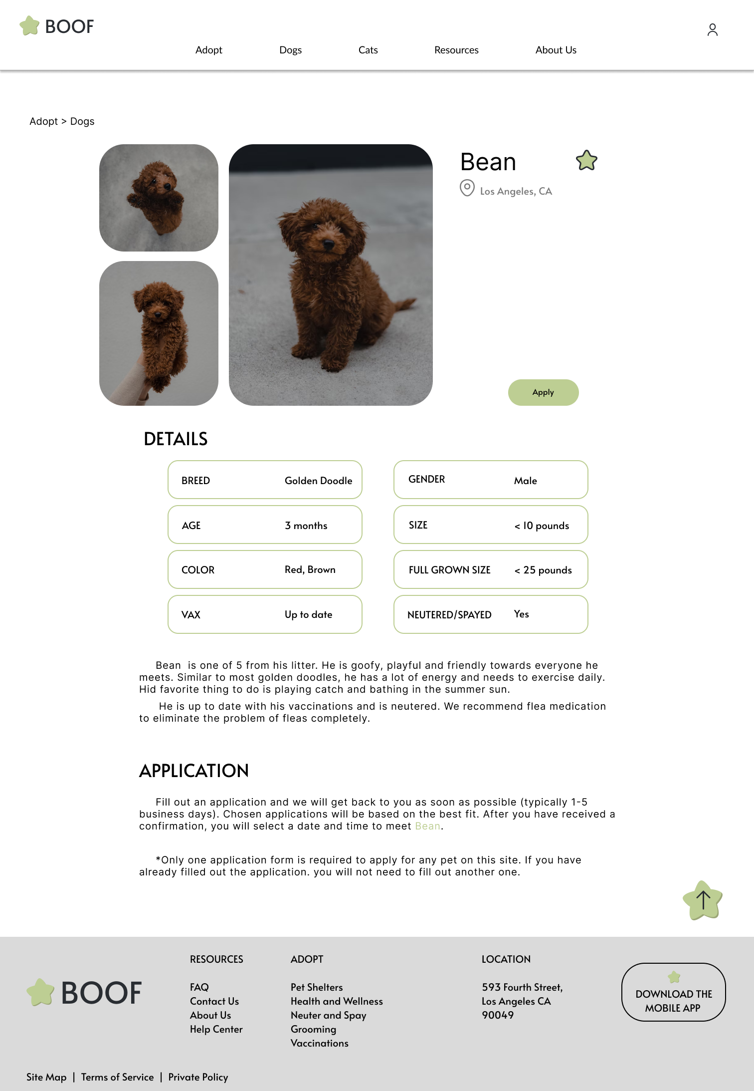 pet page desktop mockup