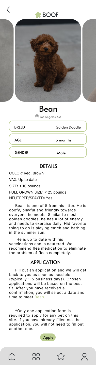 pet page mobile mockup