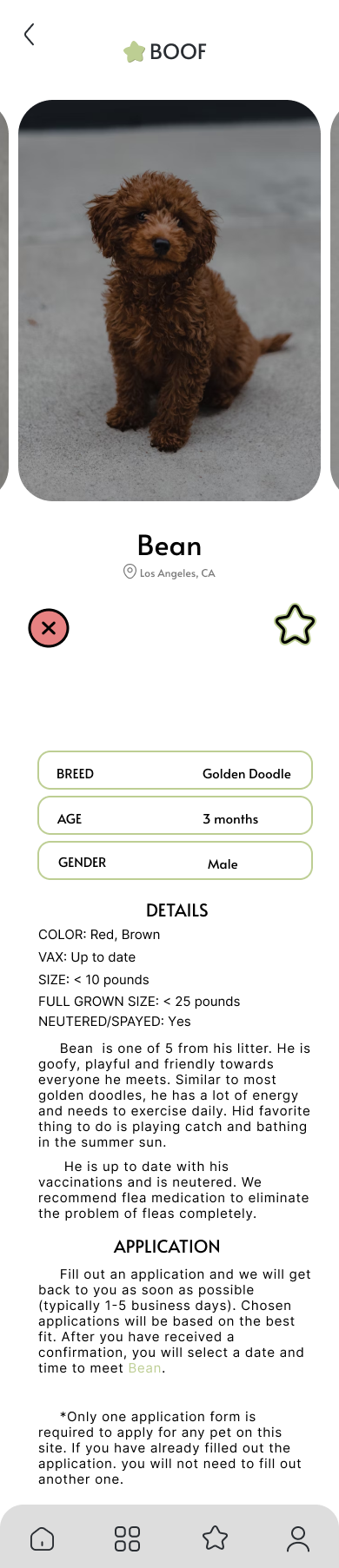 pet swipe page mobile mockup