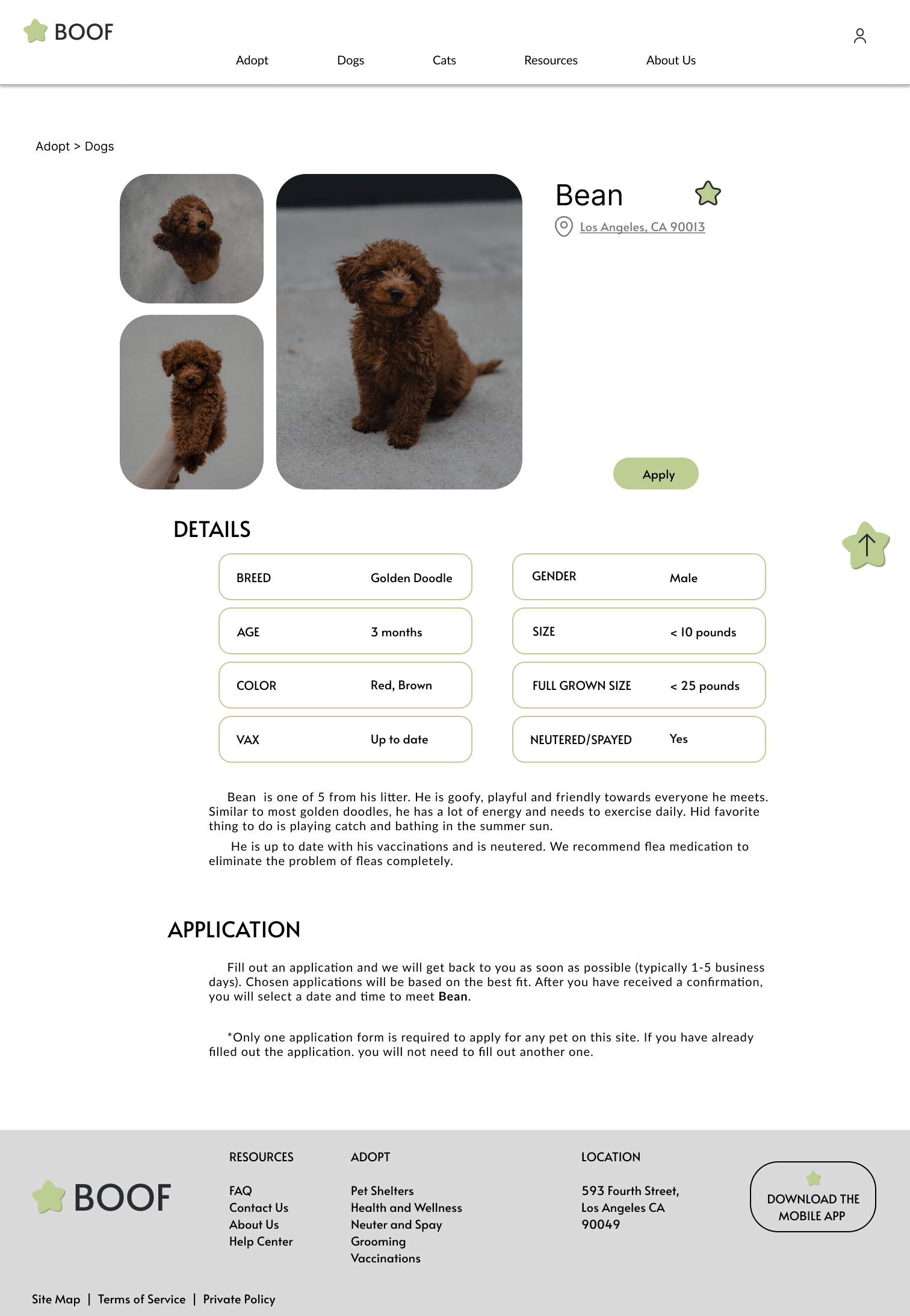 pet page desktop final design