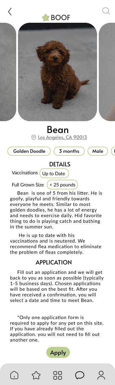 pet page mobile final design