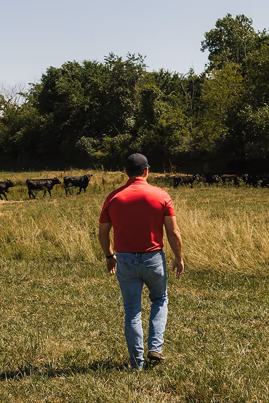 Out on the farm