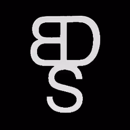 Logo for Broken Dollar Saloon