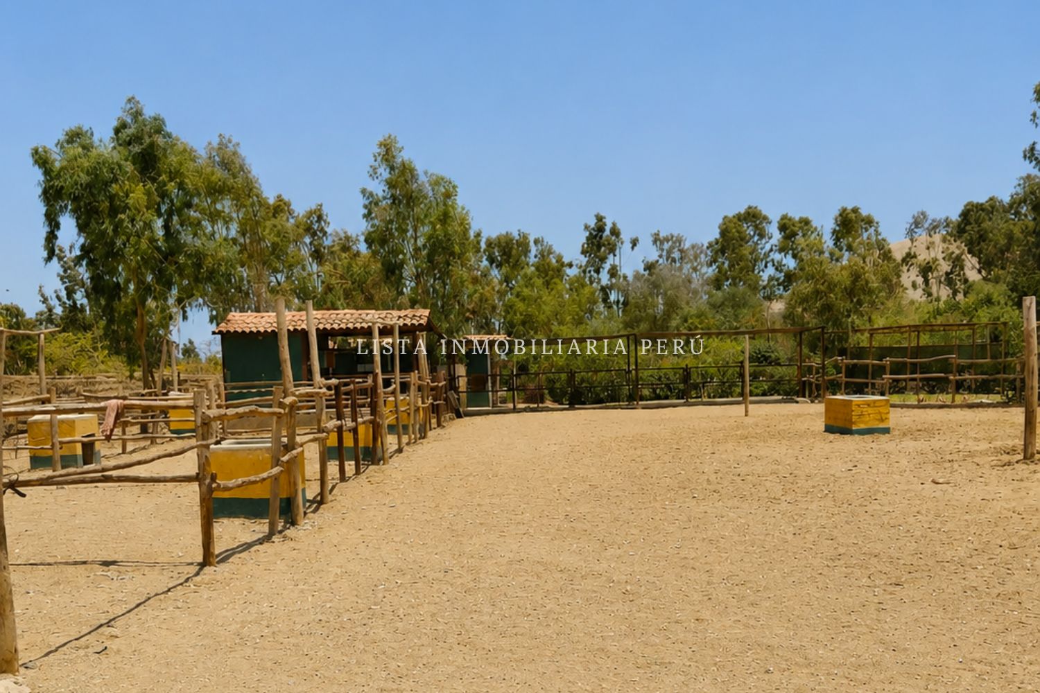 Predio de 20,000m2 en Quilmaná - Cañete