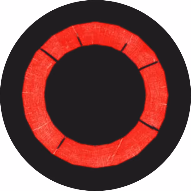 LDN-11 logo