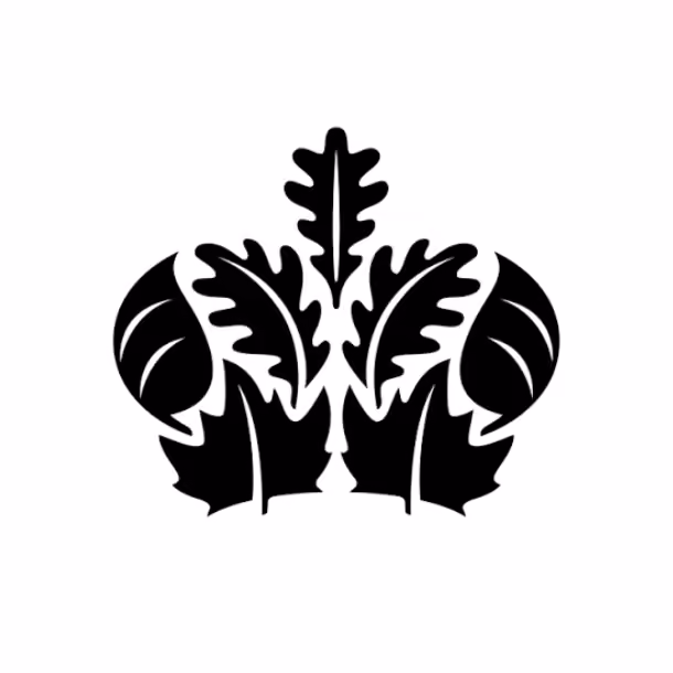LDN-32 logo