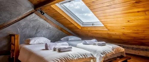 Terra Lodge, room