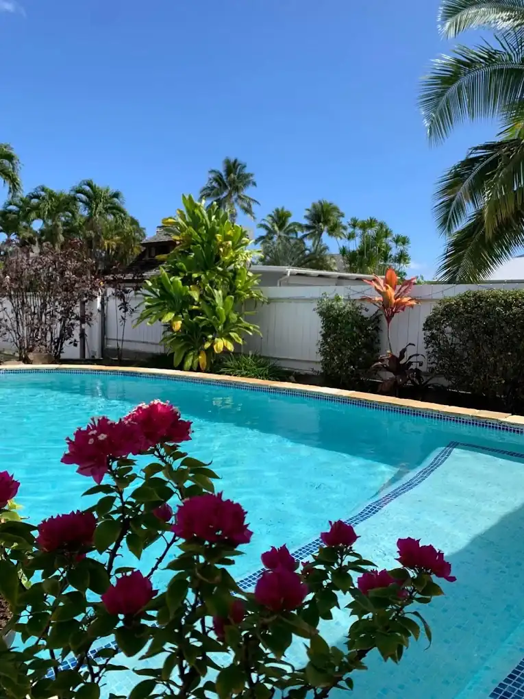 Fare Temanea, pool and garden