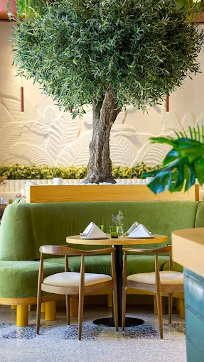 Cafe De Palma in Dubai 3
