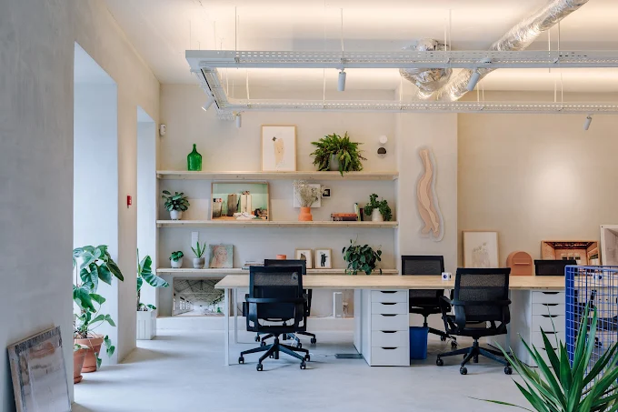 Jiboia Studio in Lisbon