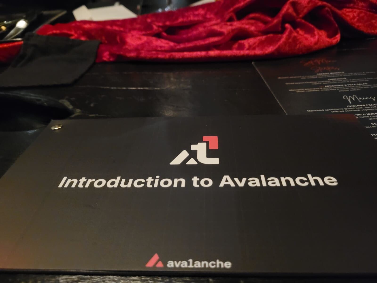 Avalanche dinner - photo 3