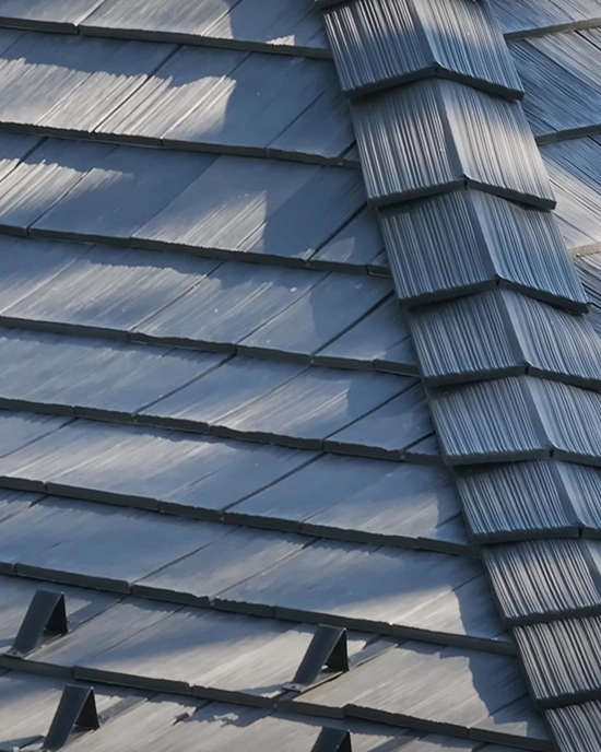 Close-Up of DaVinci Roof Ridge