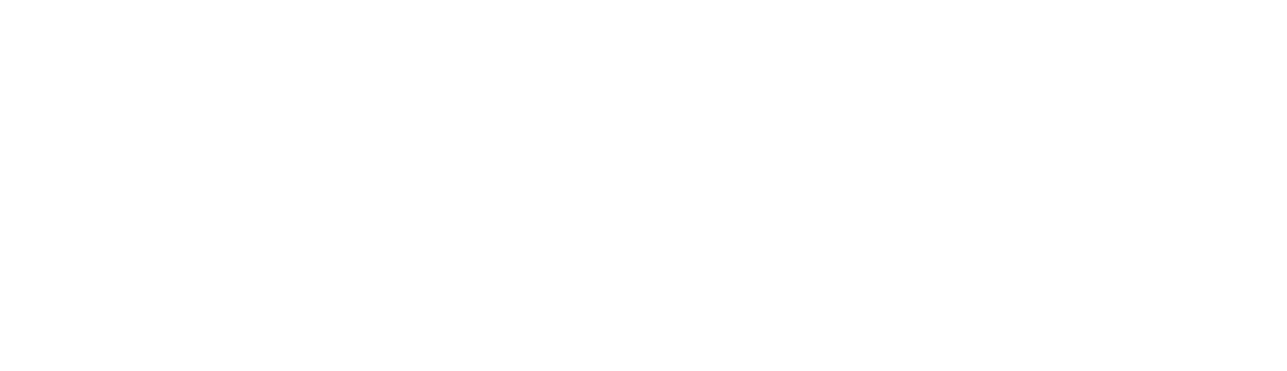Fluxus Consulting