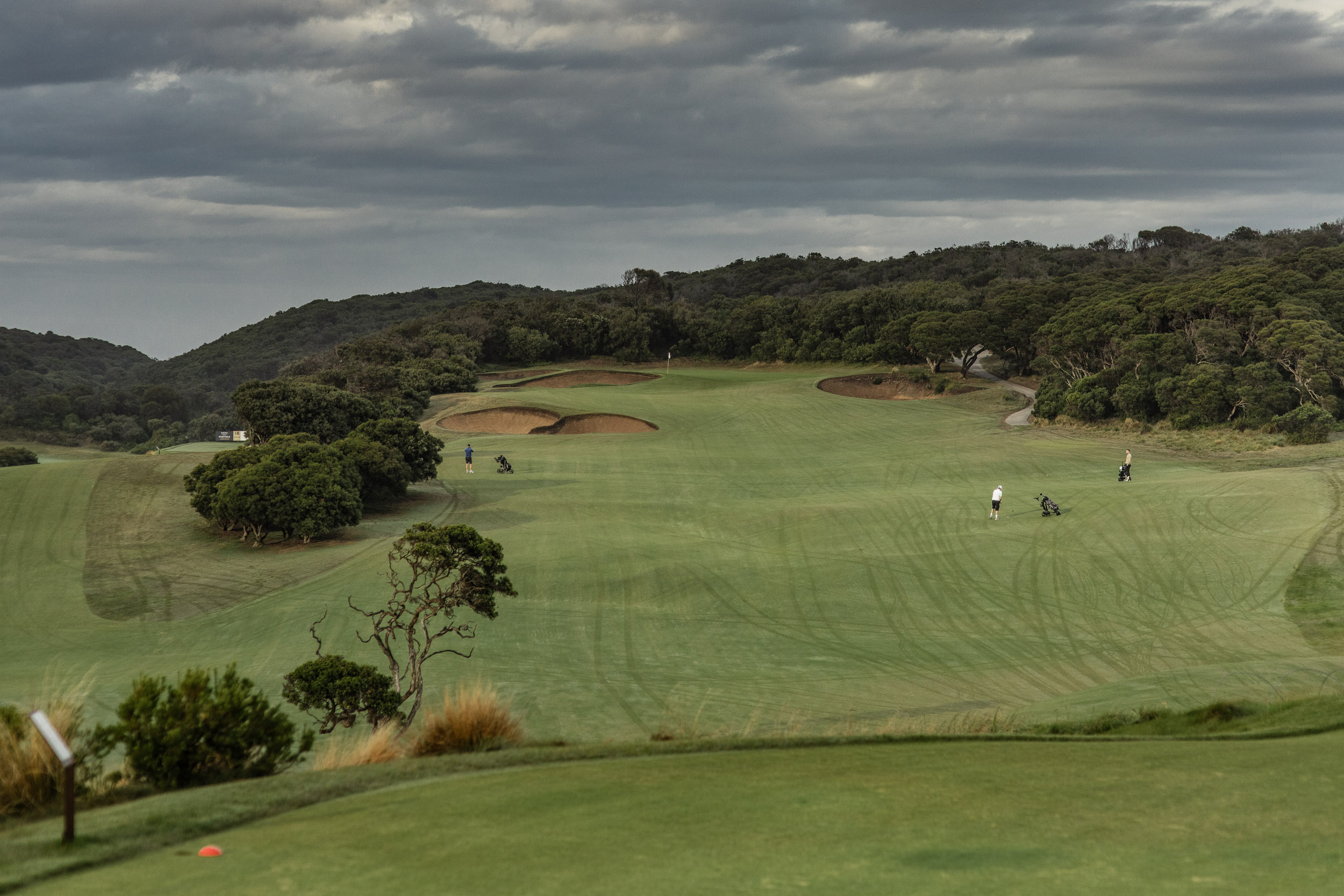 Sharks Ian Johnson Golf Day