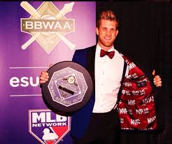 Bryce Harper is the MVP and what he ...