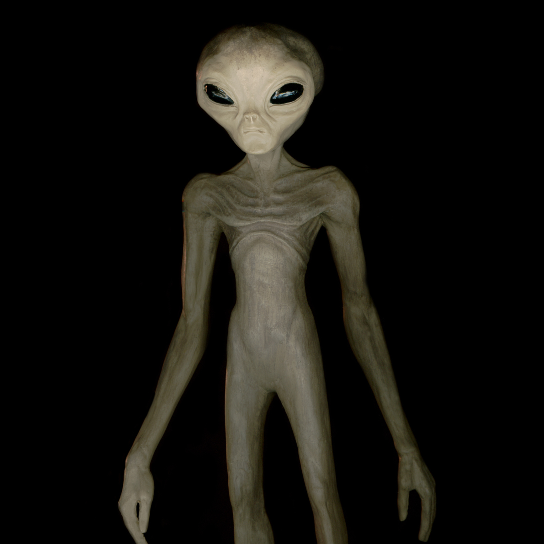 Unveiling the Enigma: Grey Aliens