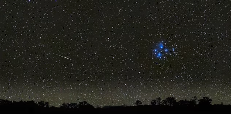 An Alien Origin for Life on Earth