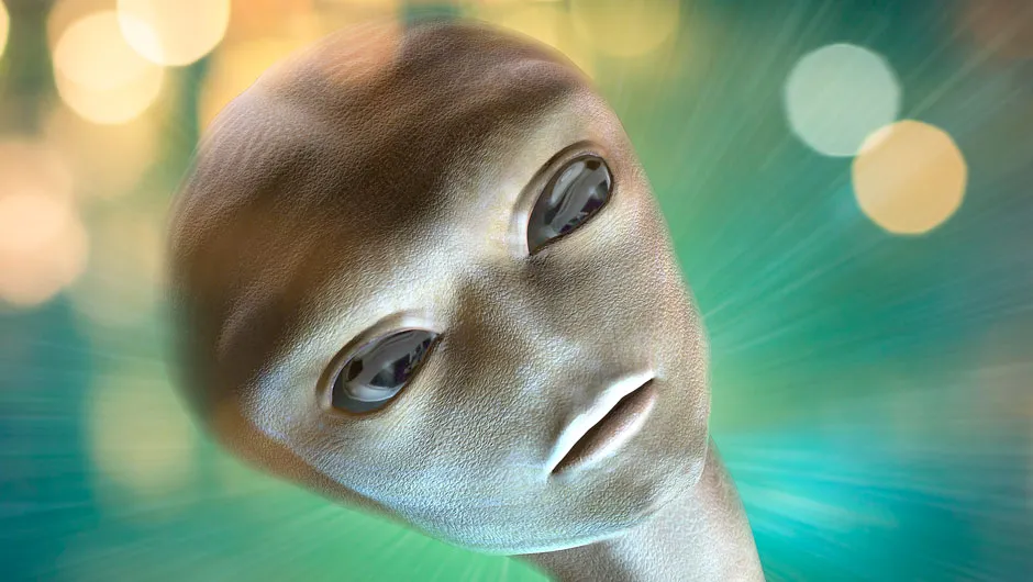 What is the Appearance of Aliens? Clues to This Mystery Might Be Found in Earth's Animal Kingdom.
