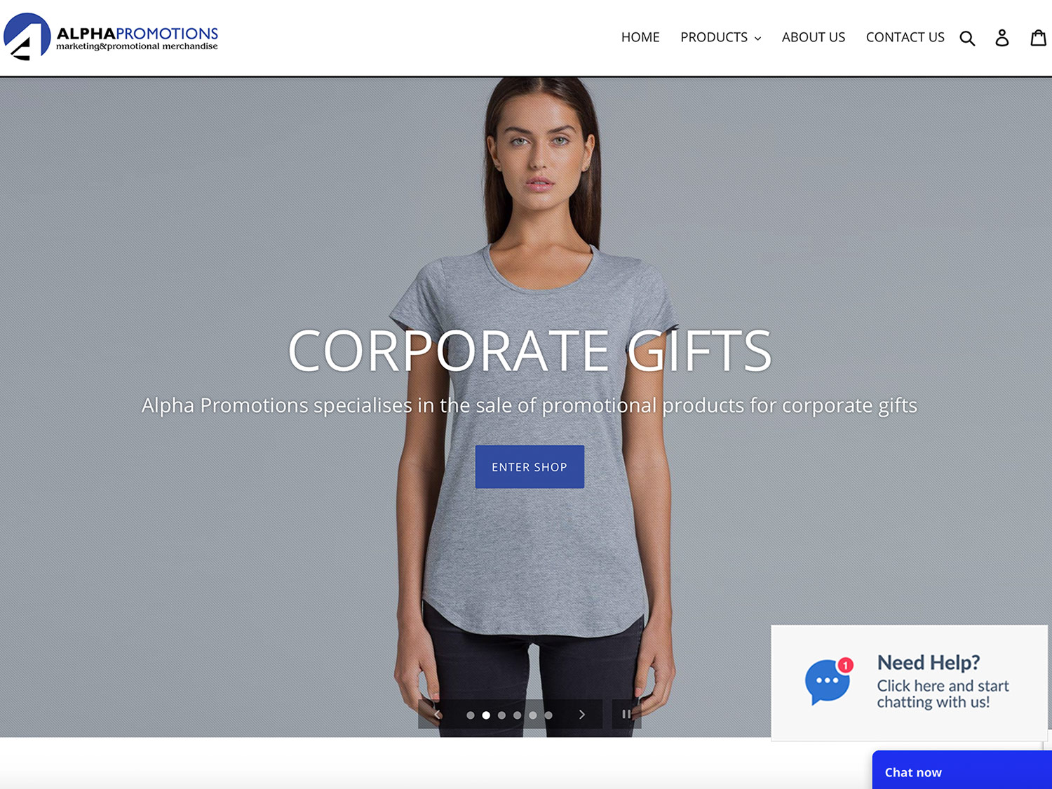 Alpha Promotions website project preview.
