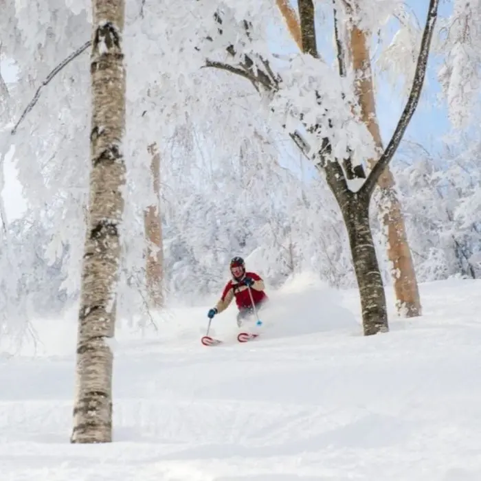 Amped ski trip project image 4.