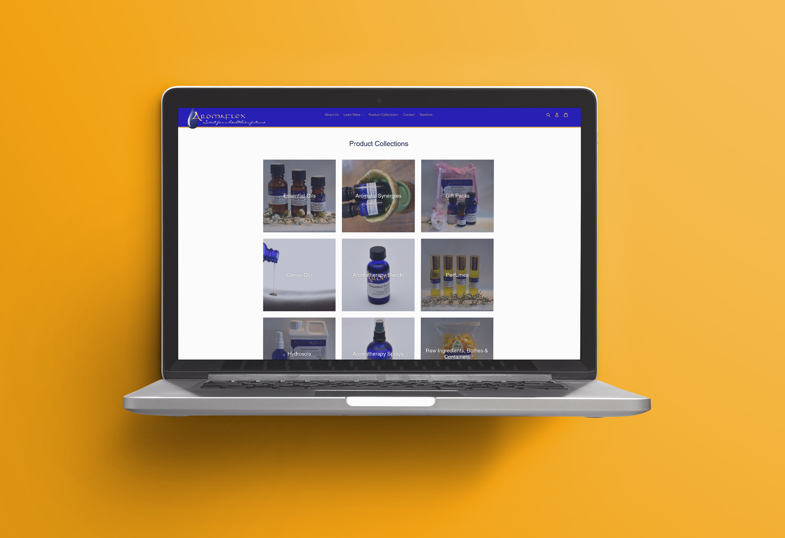 Aromaflex website project image 1.