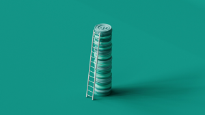 Auckland Property Investors Association website project image 1.