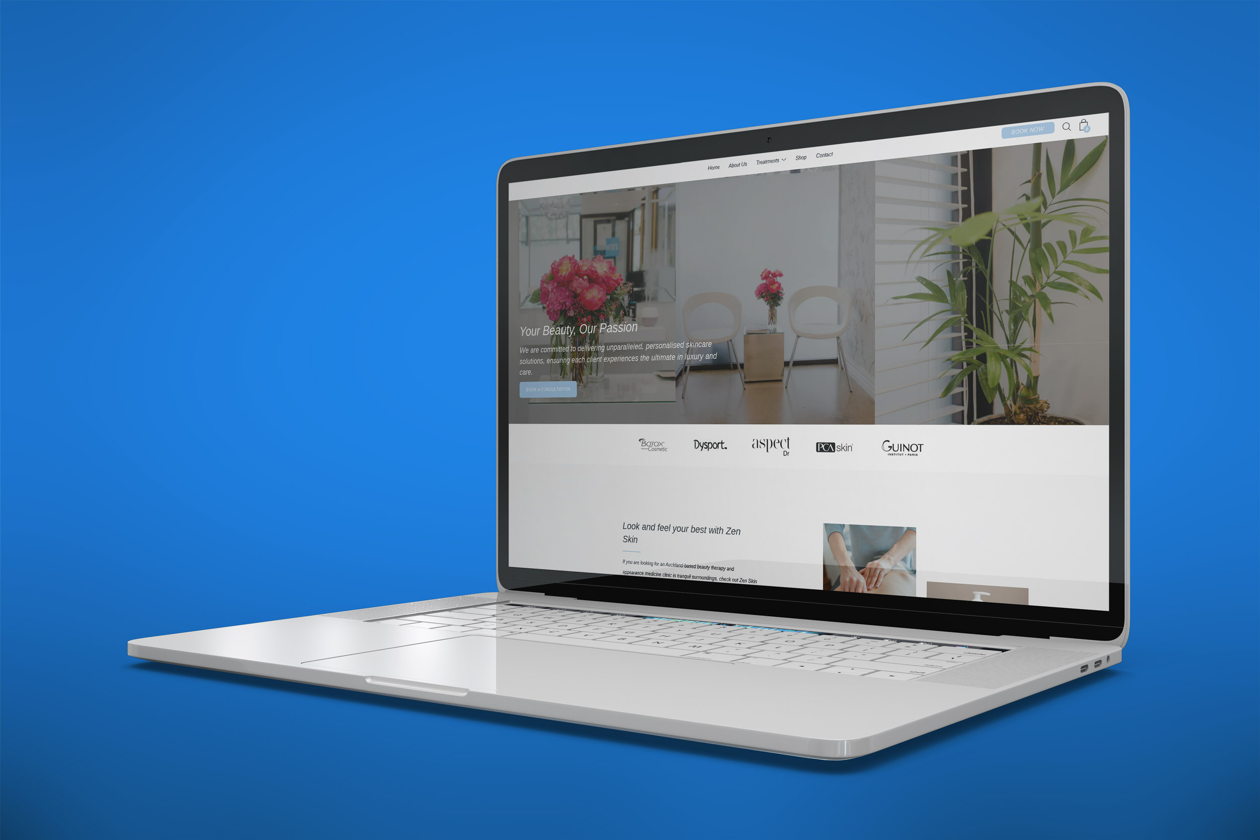 Zen Skin website project.