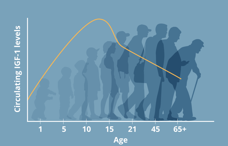 CGP Health website project image 1.