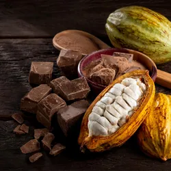 Reso Fine Foods website project image 1.
