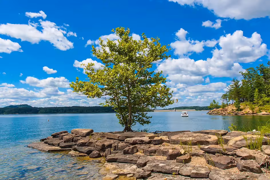 Commercial Recycling