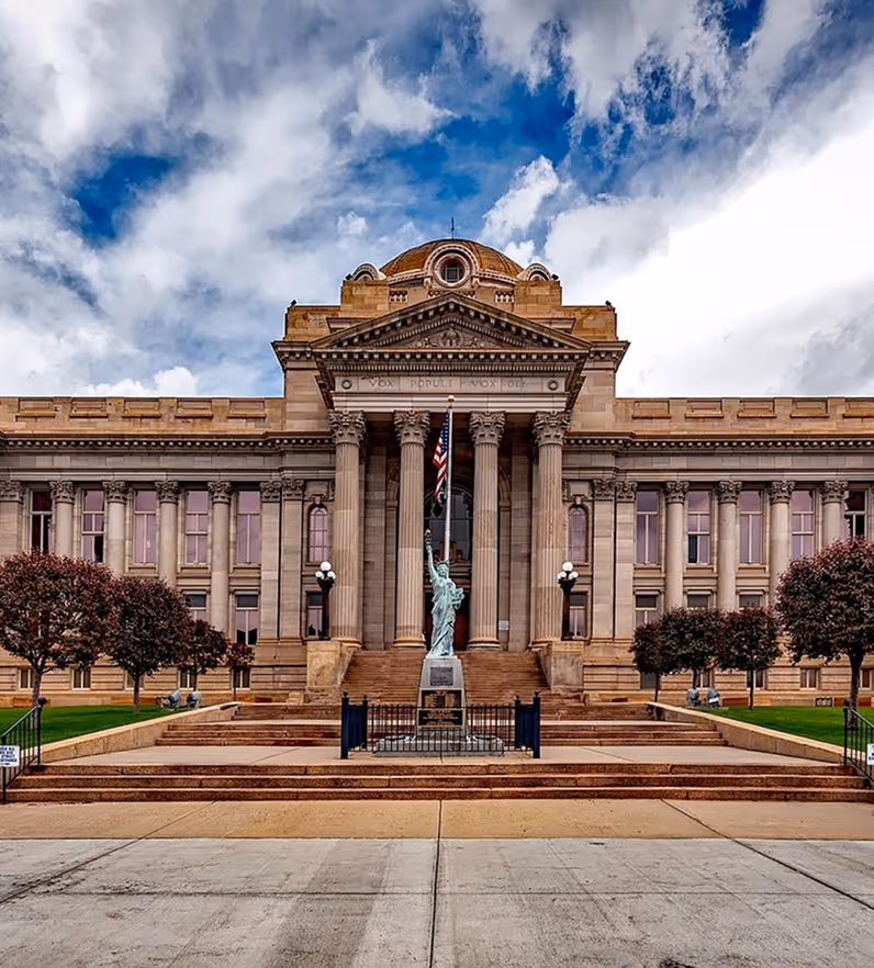 Commercial Organic / Food Waste