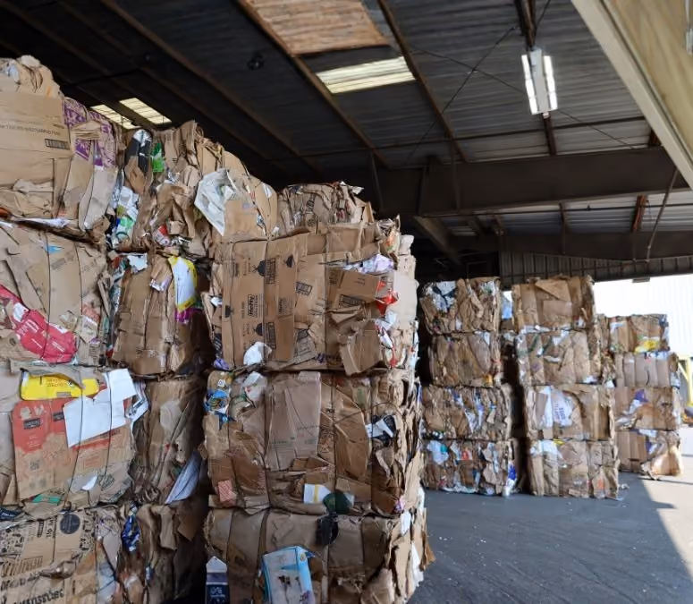 Stacked cardboard boxes on a recycling bin for commercial waste disposal services.