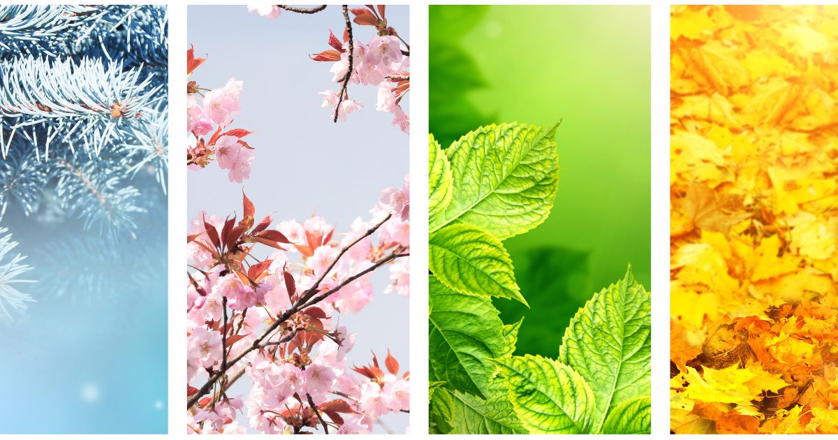 Weathering the Seasons: Year-Round Maintenance Tips for Michigan Manufactured Homes