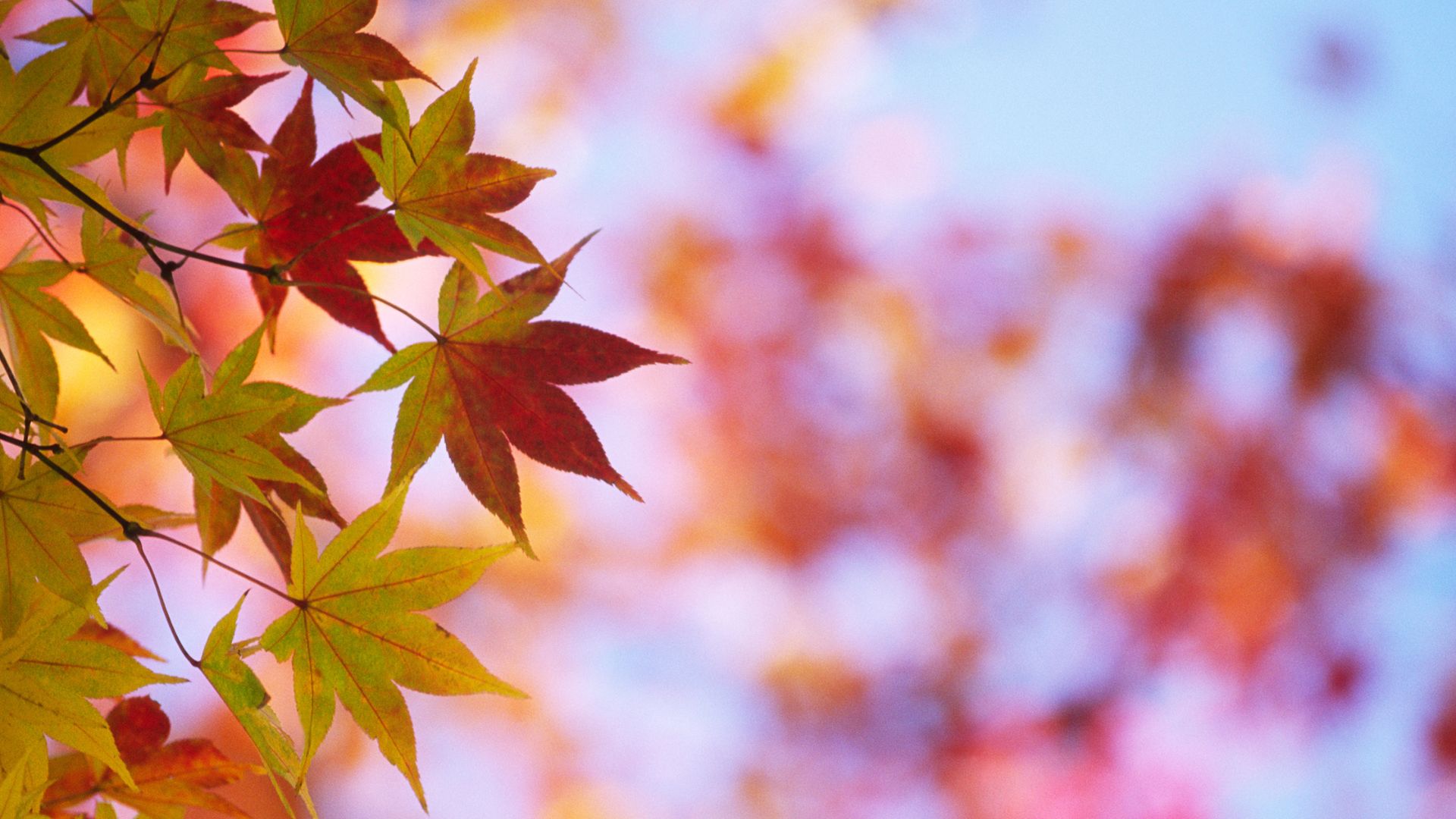Essential Tips for Fall Mobile Home Maintenance