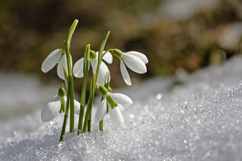 Preparing Your Mobile Home for the Upcoming Spring Season