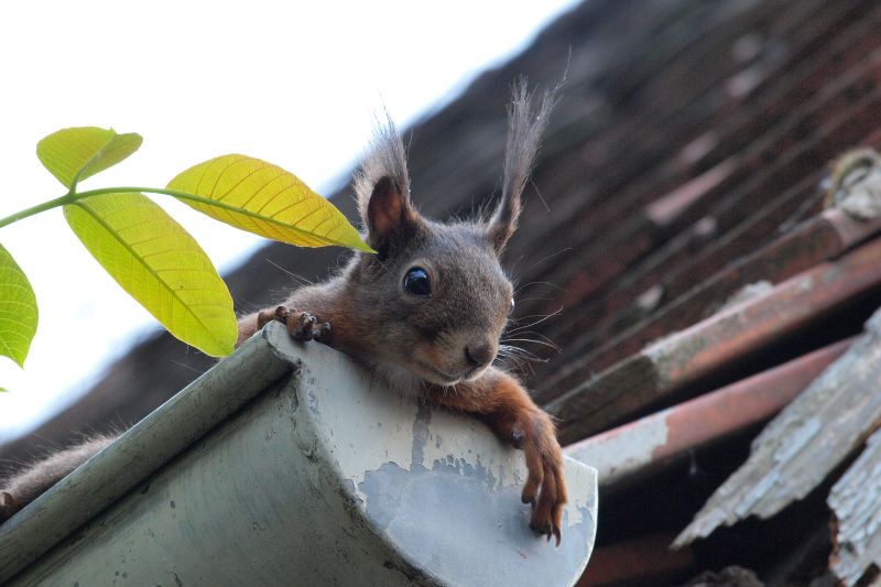 Prevent Spring Flooding with Gutter Repairs and Upgrades