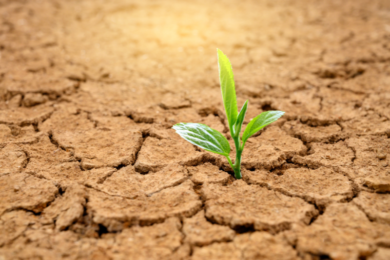 Summer Prep 101: Protecting Your Mobile Home Foundation