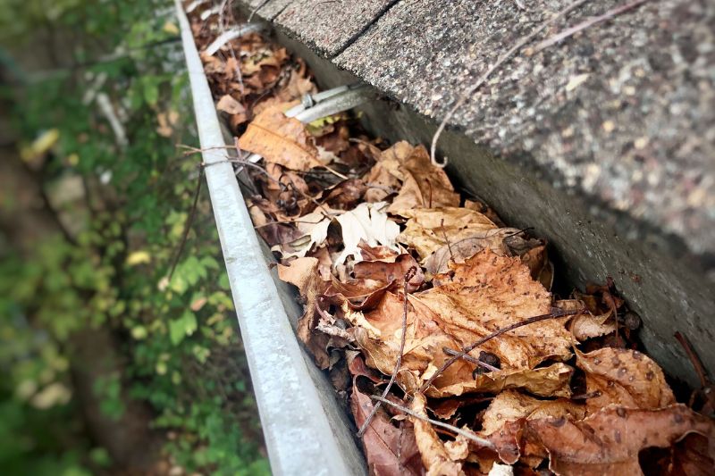 Fascia and Gutter Repairs to Handle Fall Leaves