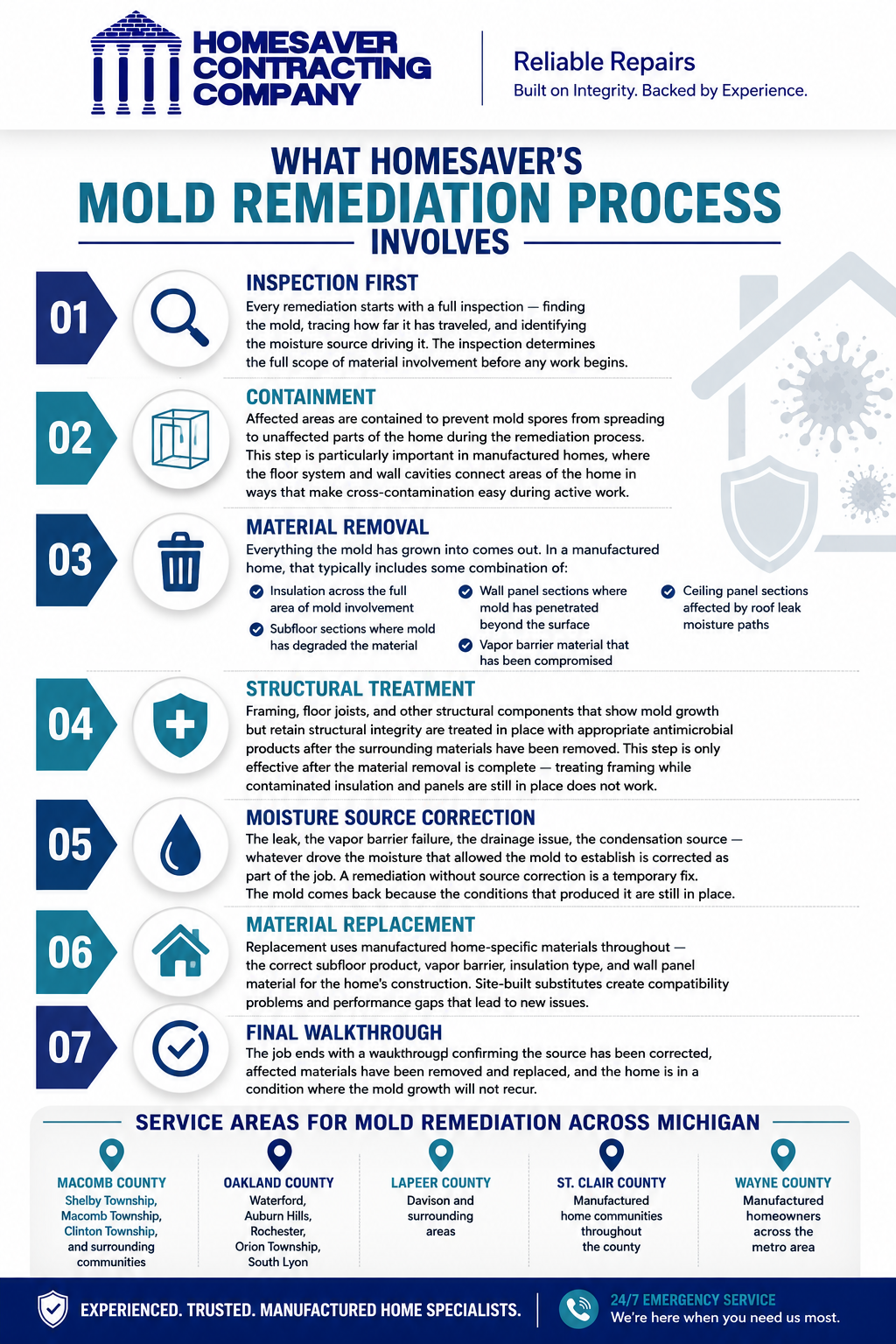 A step by step info graphic of the information found in the section "What Homesaver's Mold remediation process involves 