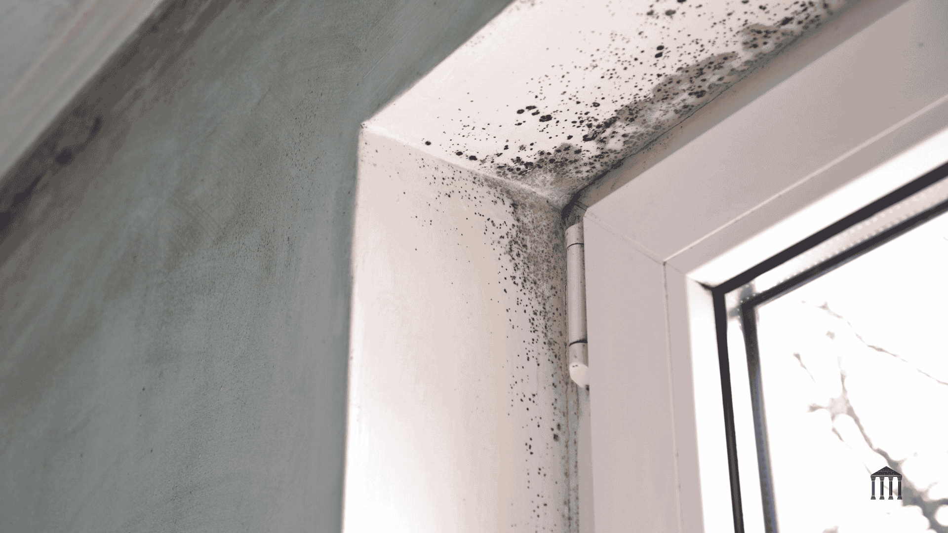 Why Summer Humidity Makes Mold Problems Explode in Michigan Homes