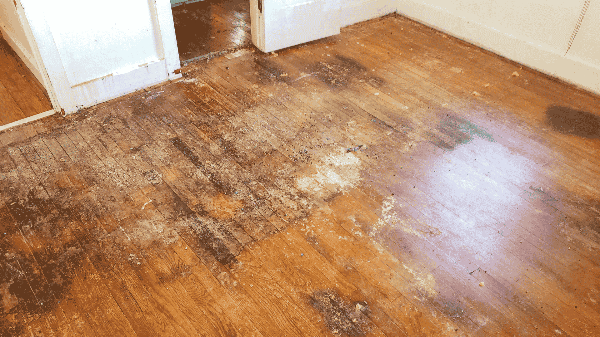 Signs Water Damage Is More Serious Than It Looks