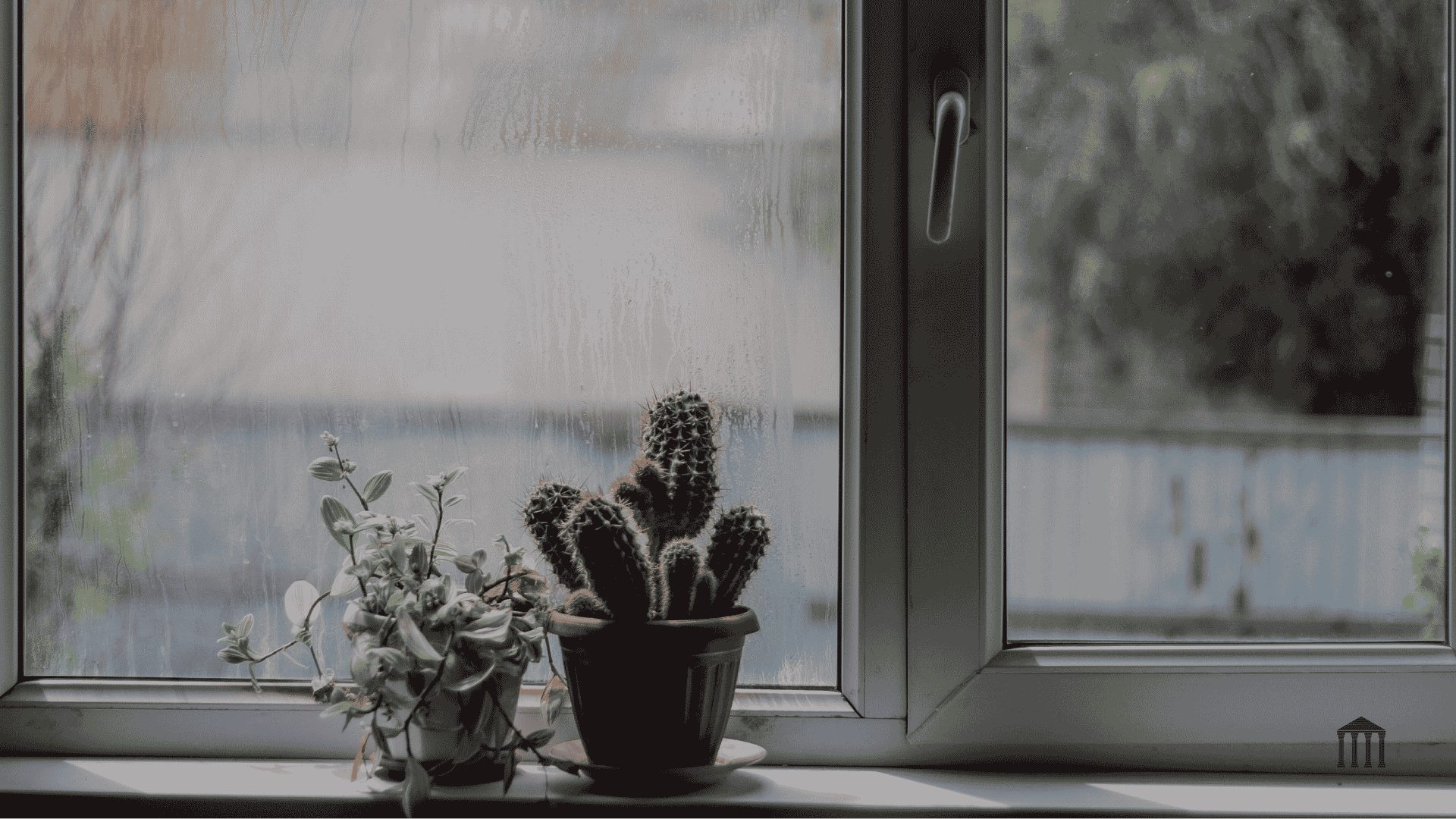 Your House Might Be Holding Moisture Right Now (Even If Everything Looks Dry)
