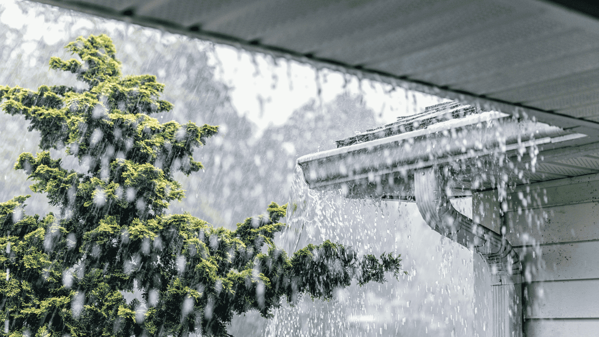 Late Summer Storms in Michigan: The Damage Homeowners Often Miss
