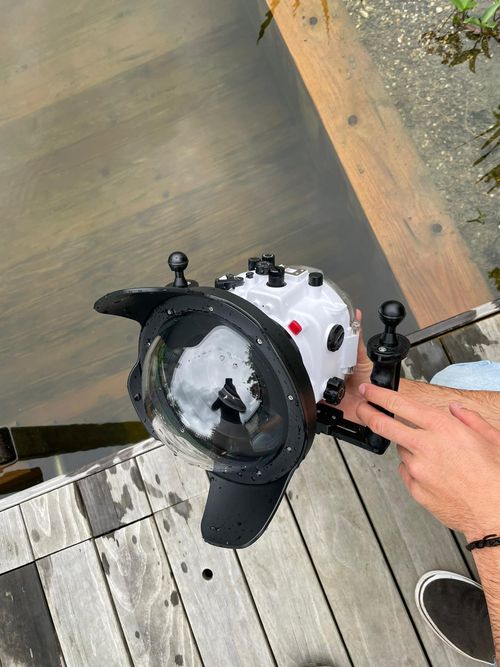 Salamander behind the scenes