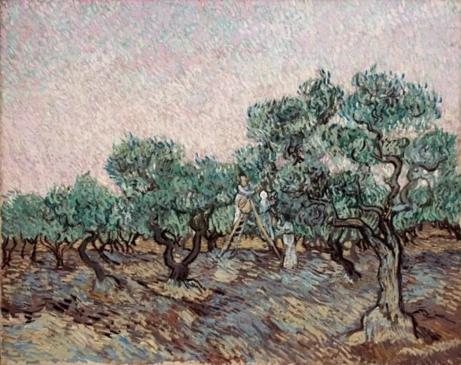 Vincent van Gogh, La cueillette des olives, décembre 1889, Huile sur toile, H, 73,5 cm ; L, 92,5 cm, Athen, Basil et Elise Goulandris Foundation.