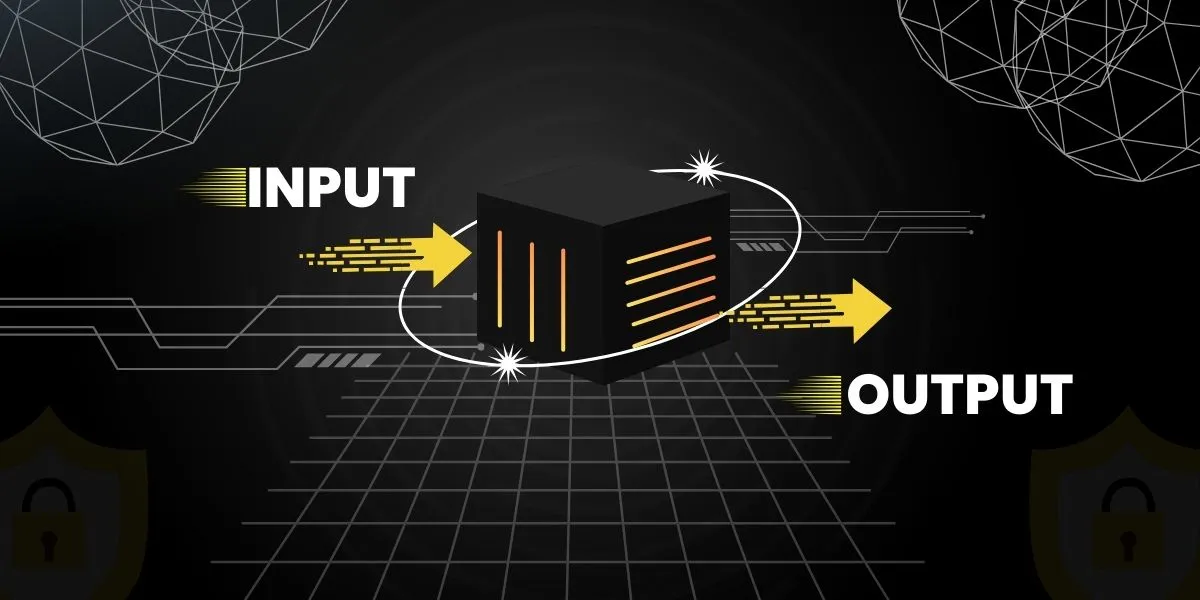 Advantages and Disadvantages in Black Box Testing