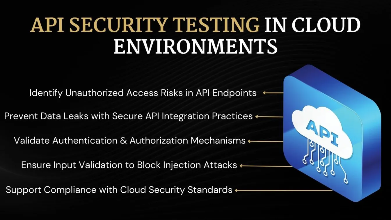 API Security Testing in Cloud Environments