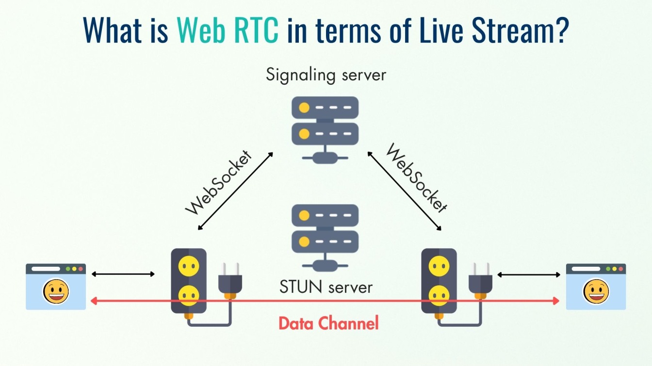 What is Web RTC in terms of Live Stream?