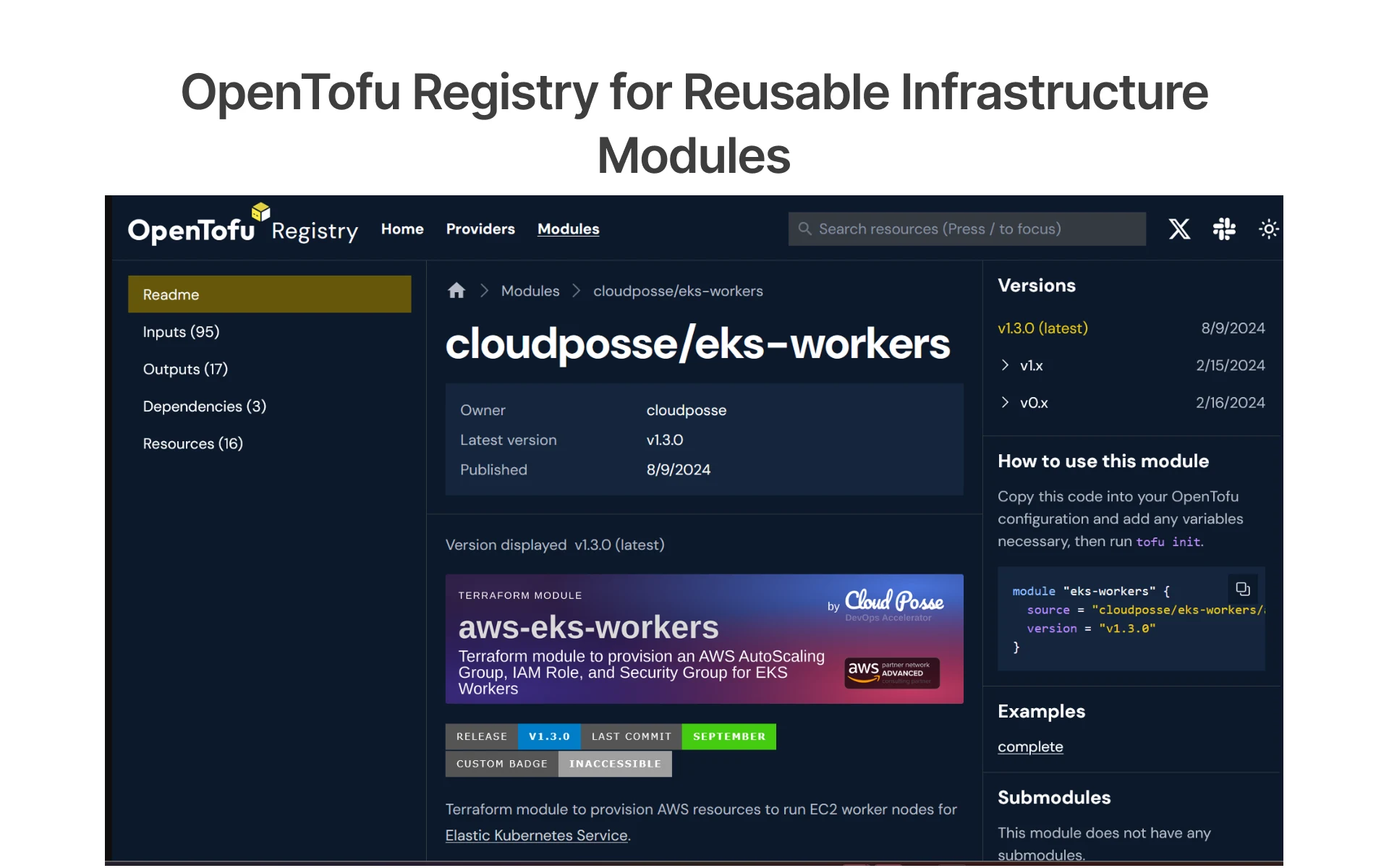 OpenTofu modules registry showing reusable infrastructure modules, versions, inputs, outputs, and usage details.